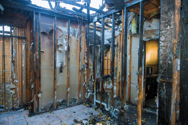 Professional Fire Damage Removal technician working in Snoqualmie Pass, WA