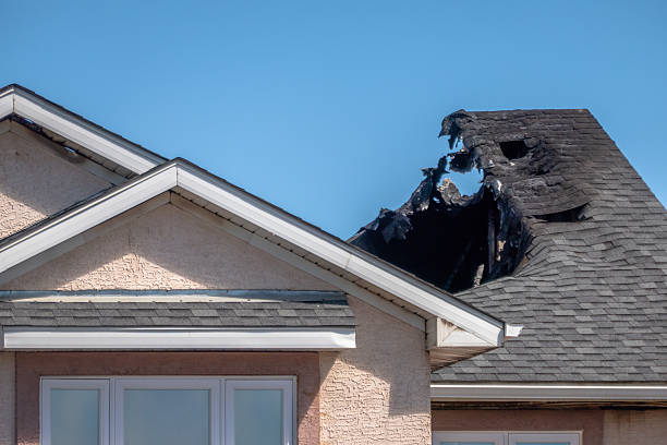 Top rated local Fire Damage Removal specialists in Snoqualmie Pass, WA